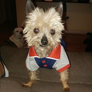 Meet your Posher, Lisa